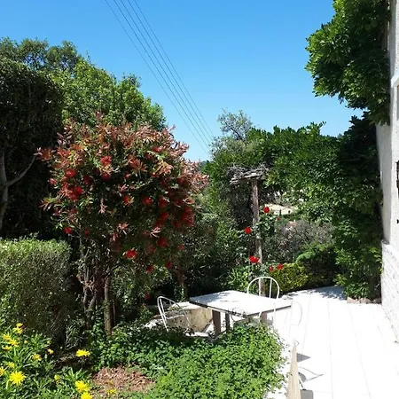 Dans En Rez De Jardin 耶尔