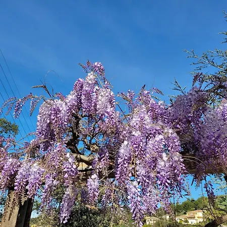 Dans En Rez De Jardin Διαμέρισμα *
