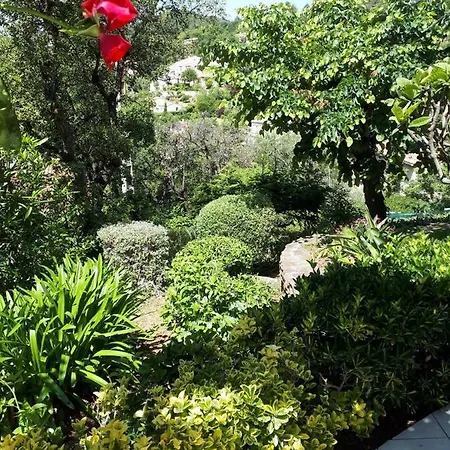 Dans En Rez De Jardin