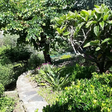 公寓 Dans En Rez De Jardin *